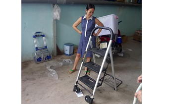 xe đẩy hàng 2 bánh